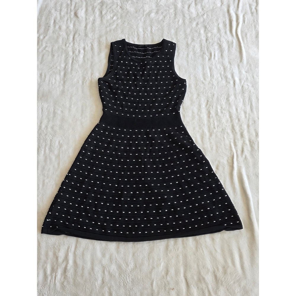 Ann Taylor Petite Black White Dot Knit Fit‎ Flare Dress Size SP